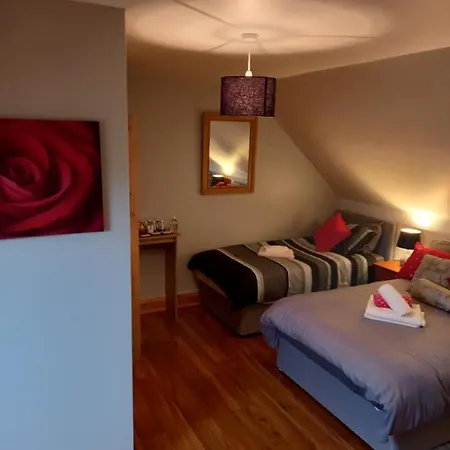 Bed & Breakfast A New U Country 3*