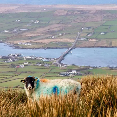 Bed & Breakfast A New U Country