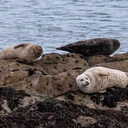 Bed & Breakfast A New U Country 3*