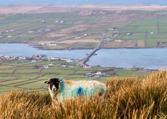 Bed & Breakfast A New U Country