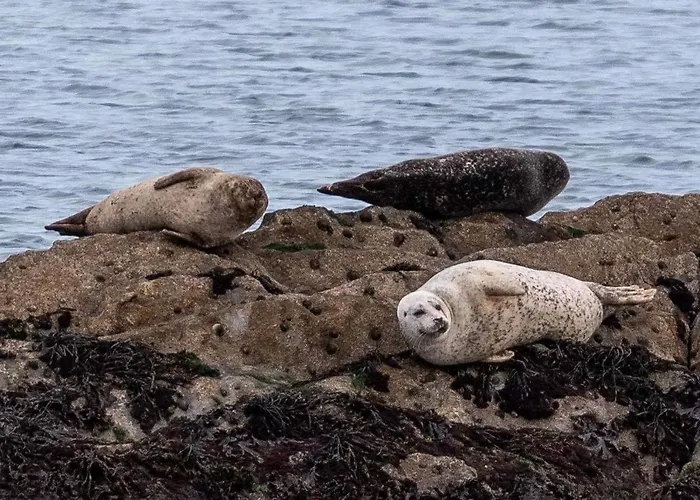 Bed & Breakfast A New U Country 3*